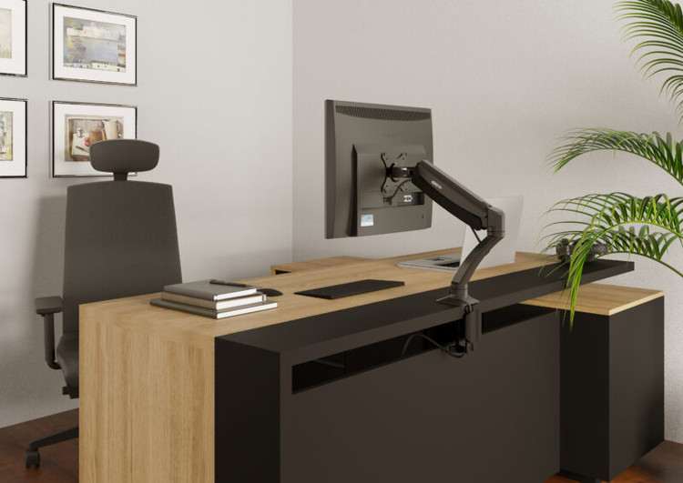 Monitor Holder Ergo WLA001