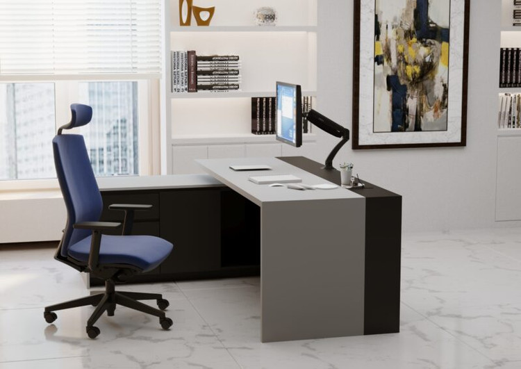 Monitor Holder Ergo WLA001